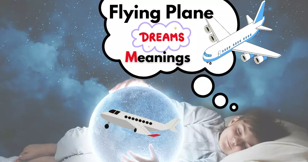 Dreaming Of Flying A Plane