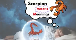 Scorpion Dream Meaning
