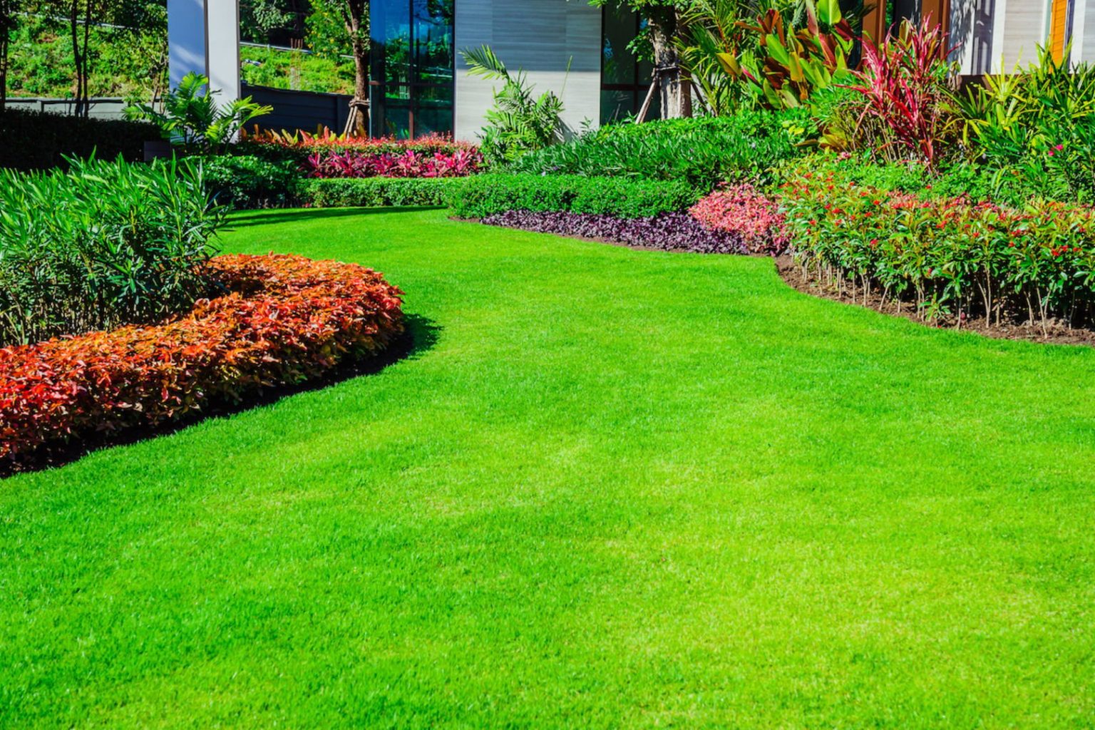 Embracing Green Living: Explore the Ease of Buying Artificial Grass Online